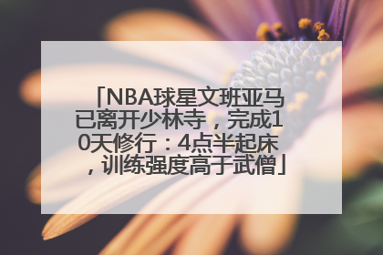 NBA球星文班亚马已离开少林寺，完成10天修行：4点半起床，训练强度高于武僧