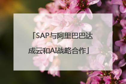 SAP与阿里巴巴达成云和AI战略合作